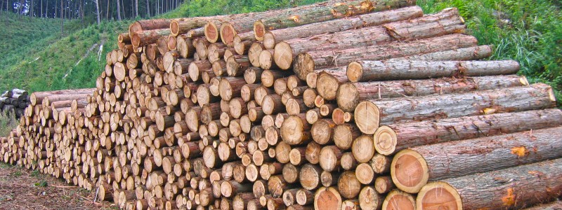 イニシャライズテストの求人情報