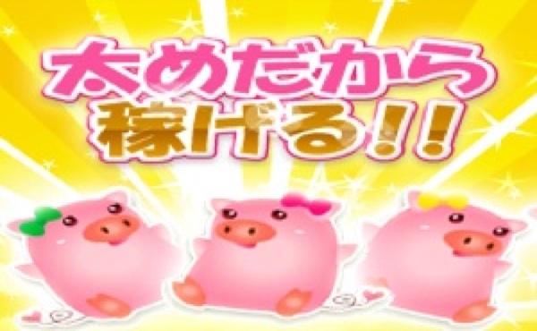 西船橋ぽっちゃり爆乳隊 求人注目ポイント